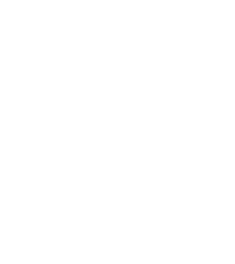 Camion 2. model gri pe tricou