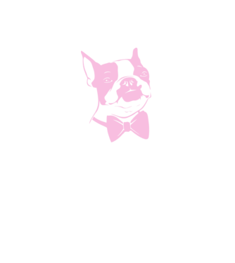 Boston Terrier model alb pe tricou