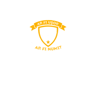 Dacă călăritul ar fi ușor ar fi numit fotbal model verde neon pe tricou