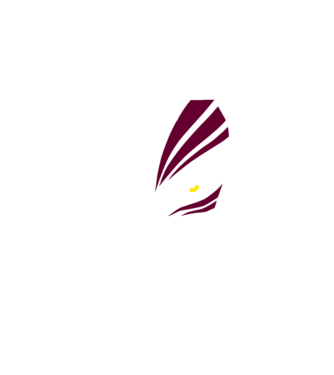 Ichigo Hollow Mask model negru pe tricou