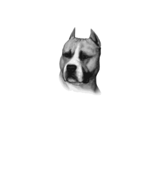 Staffordshire Terrier model alb pe tricou
