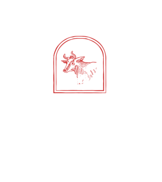 Festival BBQ - cu tata în grădina din spate! model turcoaz pe tricou
