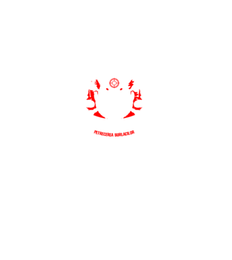 Unul dintre noi iese din joc - jocul s-a terminat - petrecerea burlacilor model turcoaz pe tricou
