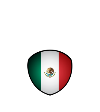 MEX-jabulani-flag model alb pe tricou