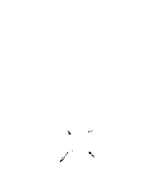 I survived the battle of the bastards model negru pe tricou