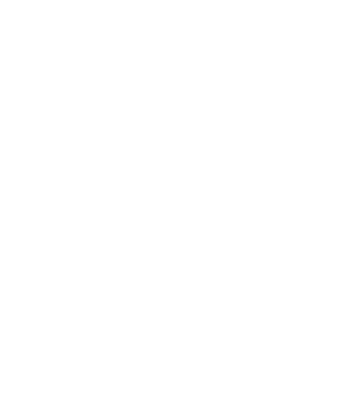 LOVE Border Collie model negru pe tricou