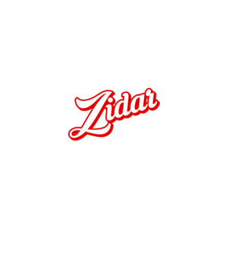 Cel mai bun ZIDAR din lume model negru pe tricou
