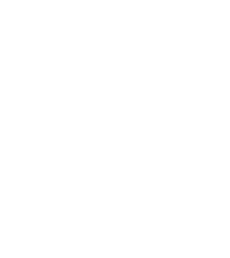 LOVE Border Collie model negru pe tricou