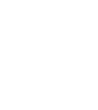 Freedom model nisipiu pe tricou