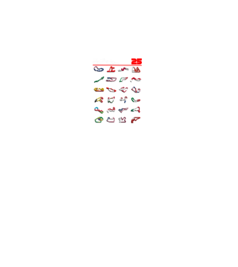 F1 calendar 2025 Negru model negru pe tricou