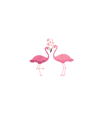 FLAMINGO ÎNDRĂGOSTIȚI model alb pe tricou