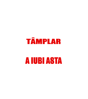 Sunt suficient de priceput pentru a fi TÂMPLAR și suficient de nebun pentru a iubi asta model negru pe tricou