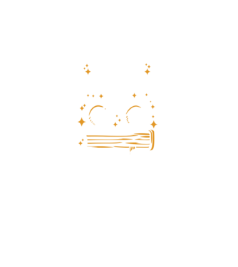 Cel mai bun profesor istorie model negru pe tricou