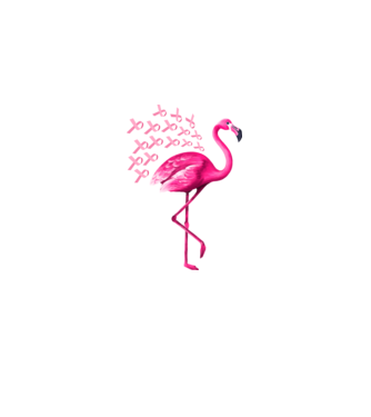 Flamingo pink model negru pe tricou