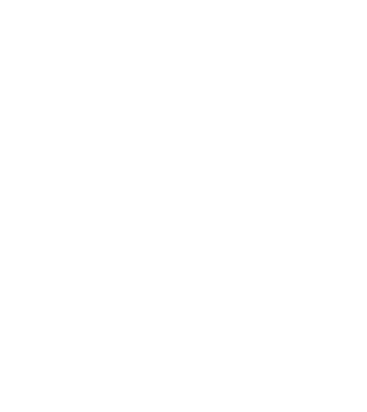 Crazy Cat Ladies are born in December model negru pe tricou