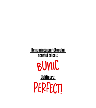 Denumirea purtătorului acestui tricou: bunic! Calificare: Perfect! model alb pe tricou