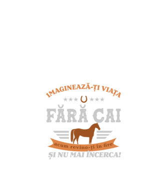 Imaginează-ți viața fără cai, acum revino-ți în fire și nu mai încerca! model negru pe tricou