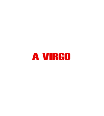 Piss of a VIRGO model negru pe tricou