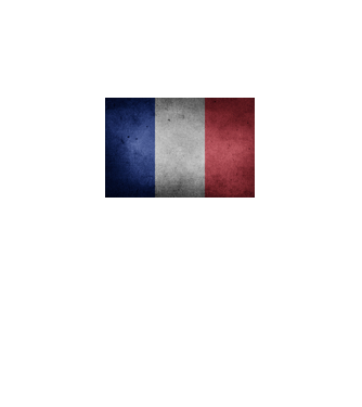 FRANCE model  pe tricou