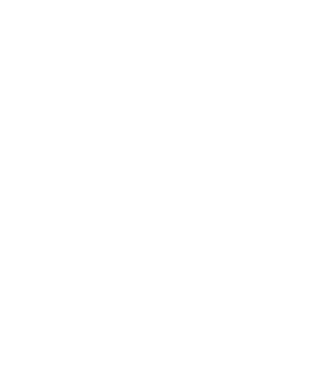 Crazy Cat Ladies are born in November model negru pe tricou