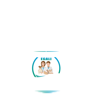 Toți se nasc egali, dar numai cei mai buni devin medici veterinari model albastru închis pe tricou
