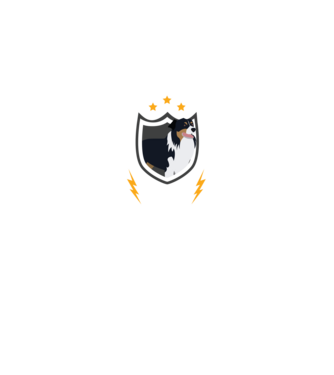 serviciu de securitate - securitate - persistență - 24 de ore pe zi model negru pe tricou