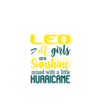 Sunshine with Hurricane LEO model negru pe tricou