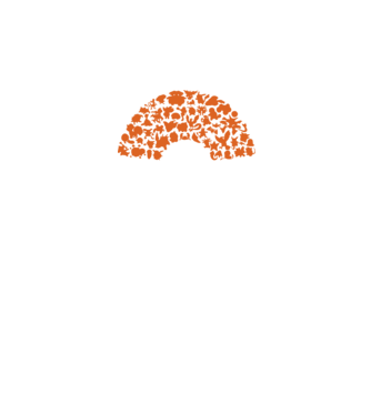 Pokeball model negru pe tricou