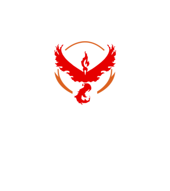 Valor team logo model alb pe tricou