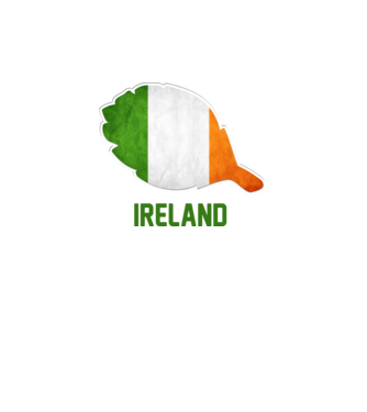 Steag irlandez model alb pe tricou