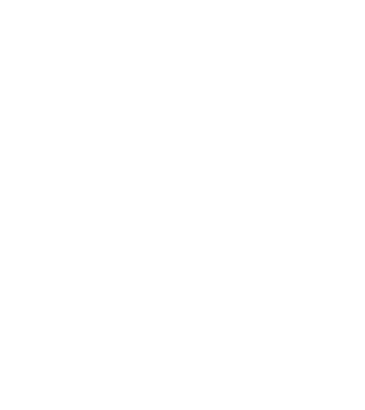 Mr. model negru pe tricou