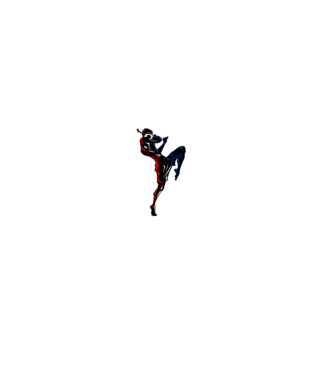 Muay Thai model negru pe tricou