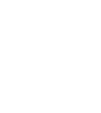 Bunicdidas model alb pe tricou