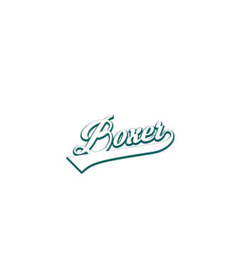 Cel mai bun boxer din lume model turcoaz pe tricou