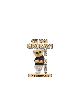 Teddy cel cool februarie model negru pe tricou