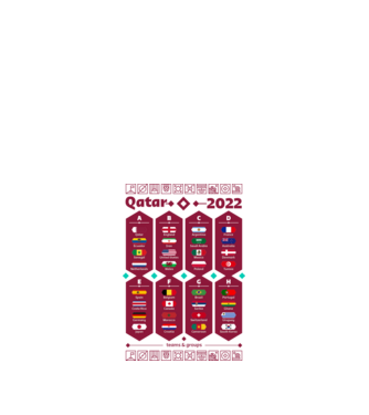 Qatar 2022 teams - groups white model alb pe tricou