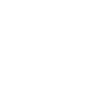 LOVE Boston Terrier model negru pe tricou