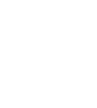 EarthLogo model negru pe tricou