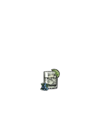 Let the fun be gin model negru pe tricou
