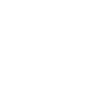 demodog logo model negru pe tricou