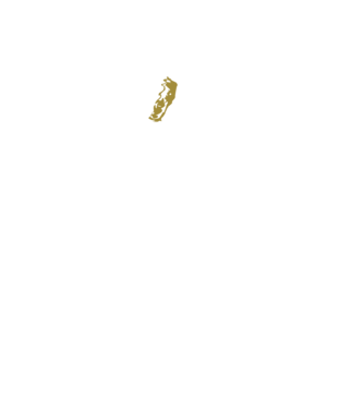 King in the north 2c model negru pe tricou