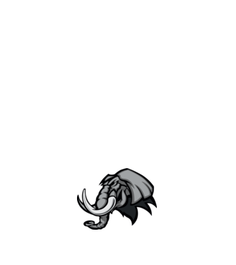 Elephant model alb pe tricou