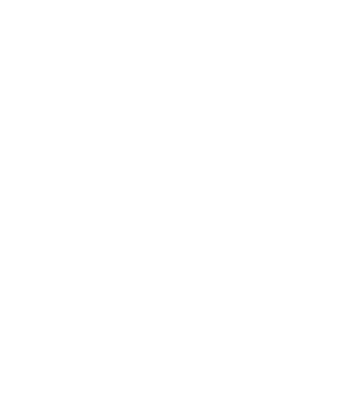 EarthLogo model negru pe tricou