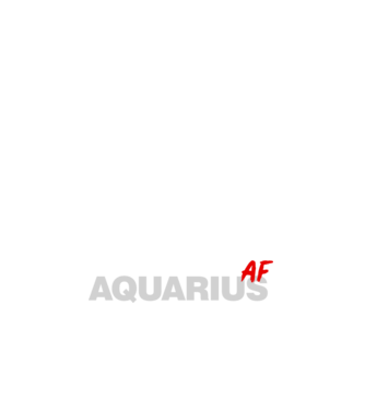AQUARIUS as fuck model negru pe tricou