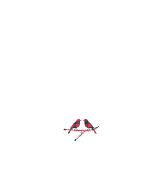 All i want for Christmas is Him model negru pe tricou