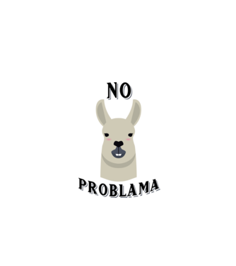 No problama model gri pe tricou