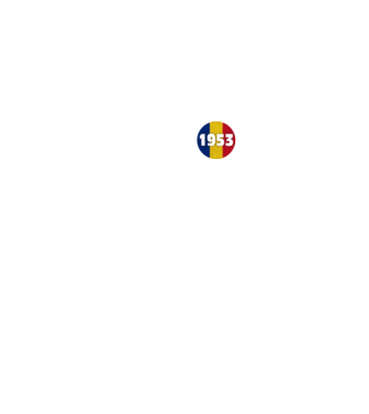 made in 1953 retro vintage model negru pe tricou