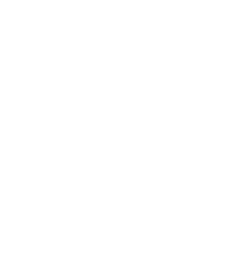 Crazy Cat Ladies are born in February model negru pe tricou