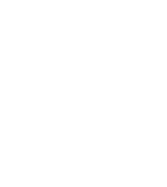 Heartbeat line Havanese model negru pe tricou