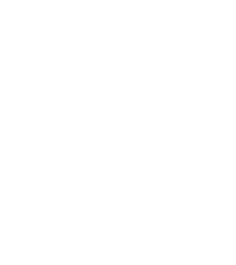 Camion 2. model gri pe tricou